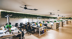 联系99精品久久久久久水蜜桃