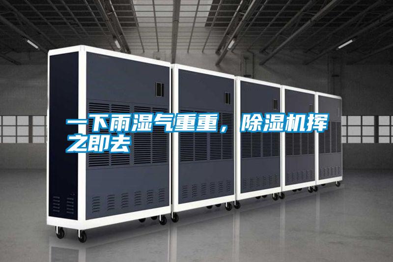 一下雨湿气重重，精品一区二区三区水蜜桃挥之即去