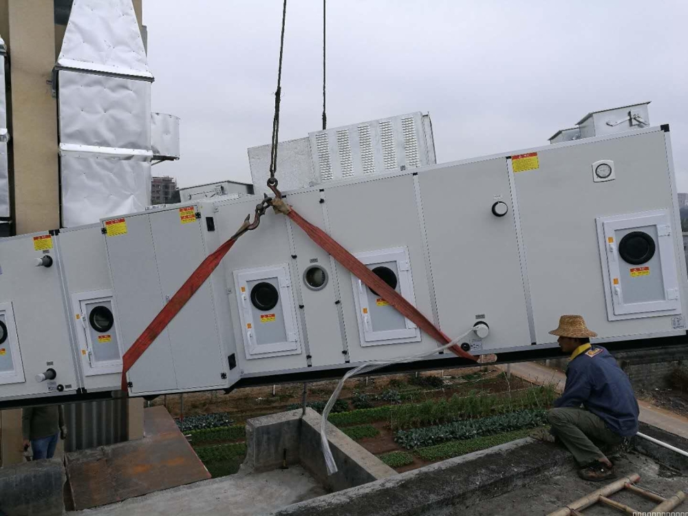 转轮精品一区二区三区水蜜桃哪家好