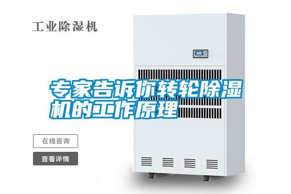 专家告诉你转轮精品一区二区三区水蜜桃的工作原理