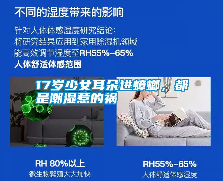 17岁少女耳朵进蟑螂，都是潮湿惹的祸