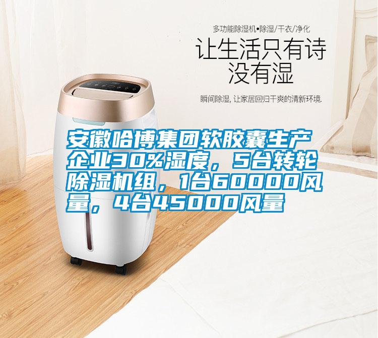 安徽哈博集团软胶囊生产企业30%湿度，5台转轮精品一区二区三区水蜜桃组，1台60000风量，4台45000风量
