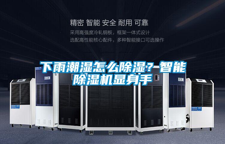 下雨潮湿怎么除湿？智能精品一区二区三区水蜜桃显身手