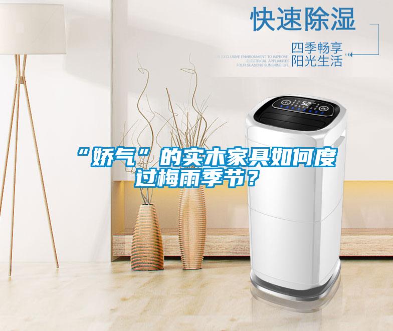 “娇气”的实木家具如何度过梅雨季节？