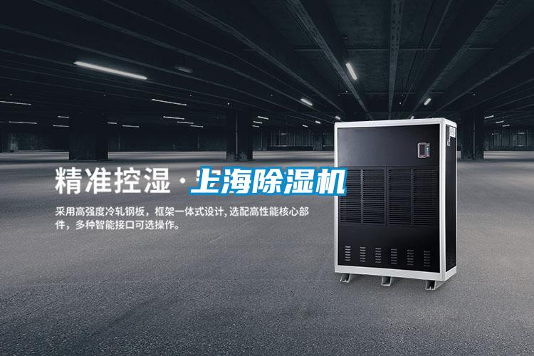 上海精品一区二区三区水蜜桃