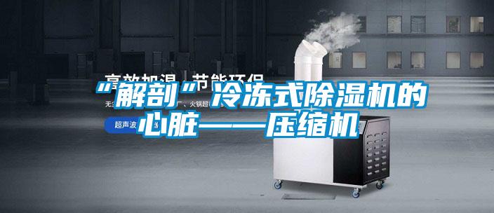 “解剖”冷冻式精品一区二区三区水蜜桃的心脏——压缩机