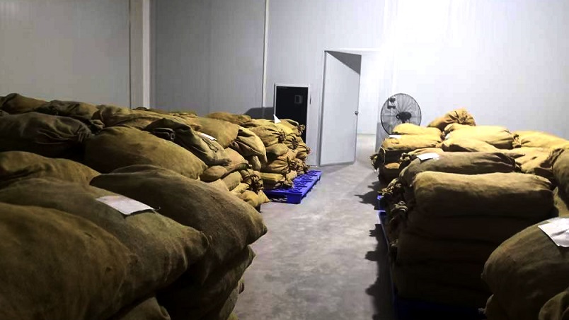 仓库精品一区二区三区水蜜桃在陈皮储存过程中的应用