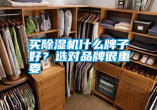 买精品一区二区三区水蜜桃什么牌子好？选对品牌很重要