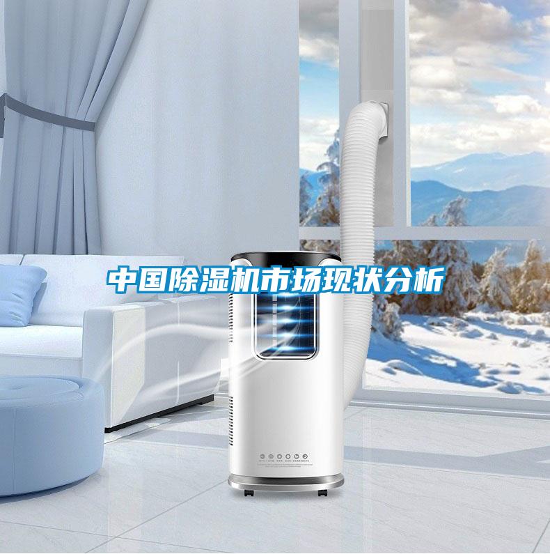 中国精品一区二区三区水蜜桃市场现状分析