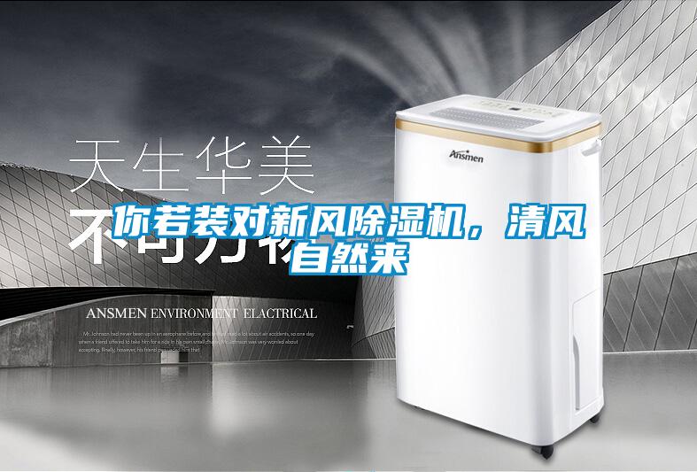 你若装对新风精品一区二区三区水蜜桃，清风自然来