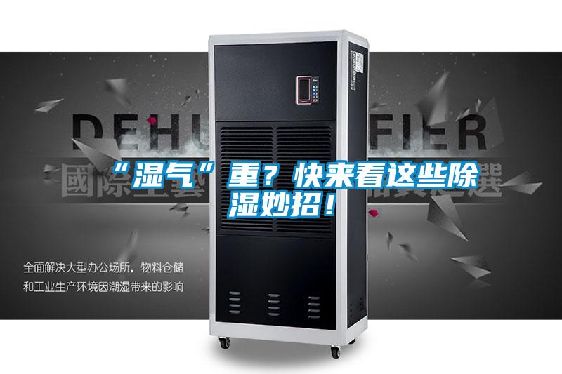 “湿气”重？快来看这些除湿妙招！