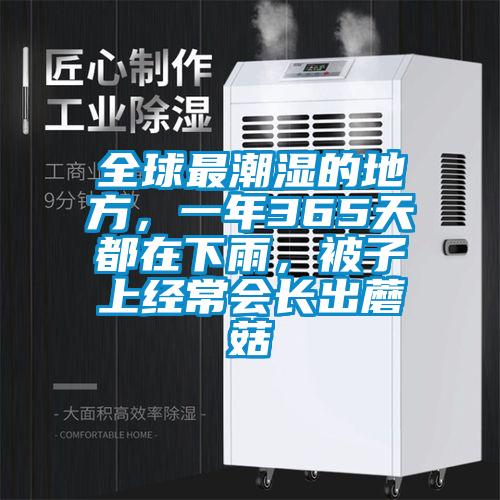 全球最潮湿的地方，一年365天都在下雨，被子上经常会长出蘑菇