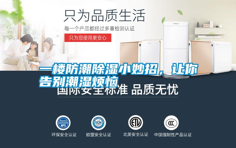 一楼防潮除湿小妙招，让你告别潮湿烦恼
