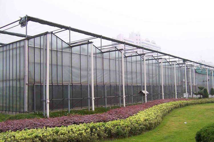 1530598124631850.jpg 温室.jpg