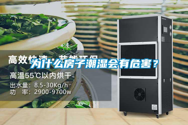 为什么房子潮湿会有危害？