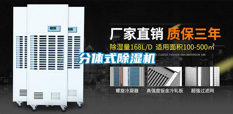 分体式精品一区二区三区水蜜桃