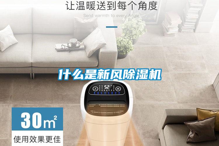 什么是新风精品一区二区三区水蜜桃