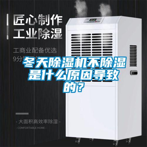 冬天精品一区二区三区水蜜桃不除湿是什么原因导致的？