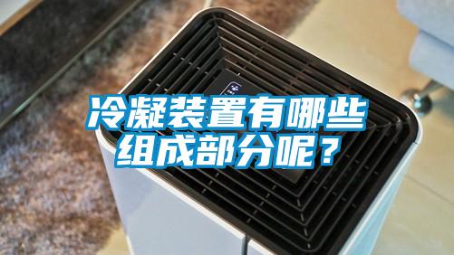 冷凝装置有哪些组成部分呢？