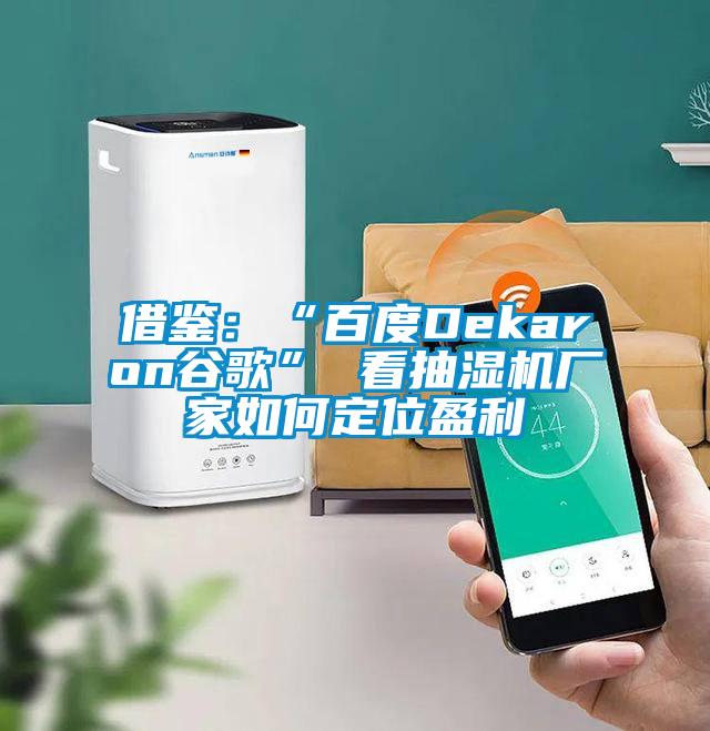 借鉴：“百度Dekaron谷歌” 看抽湿机厂家如何定位盈利