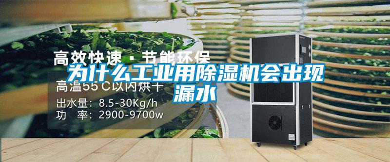 为什么工业用精品一区二区三区水蜜桃会出现漏水