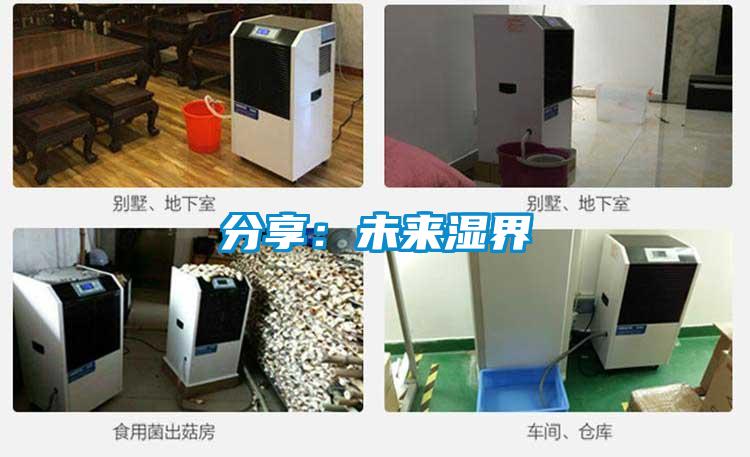 分享：未来湿界