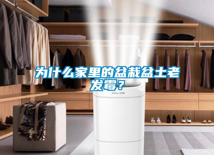 为什么家里的盆栽盆土老发霉？