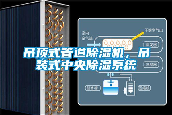 吊顶式管道精品一区二区三区水蜜桃，吊装式中央除湿系统