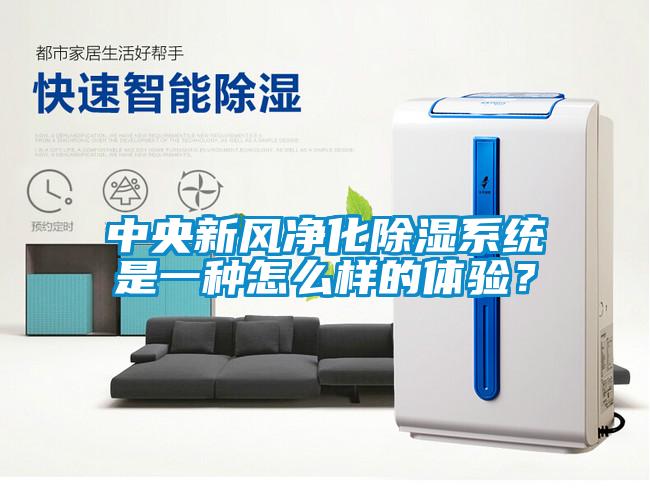中央新风净化除湿系统是一种怎么样的体验？