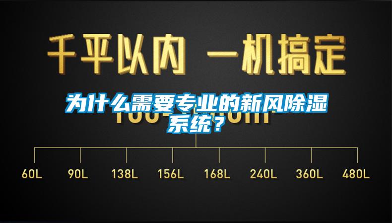 为什么需要专业的新风除湿系统？