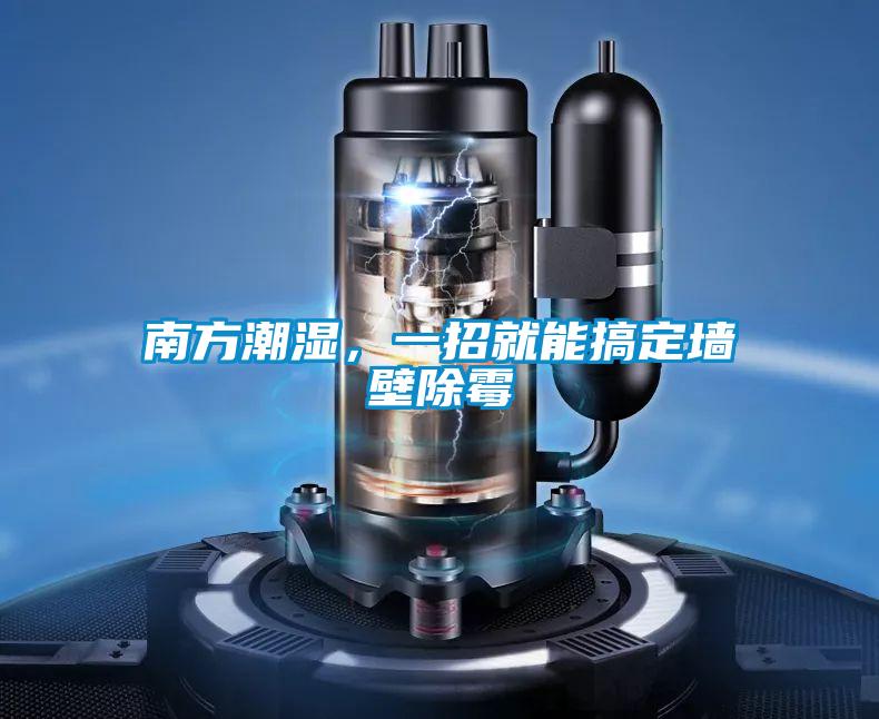 南方潮湿，一招就能搞定墙壁除霉