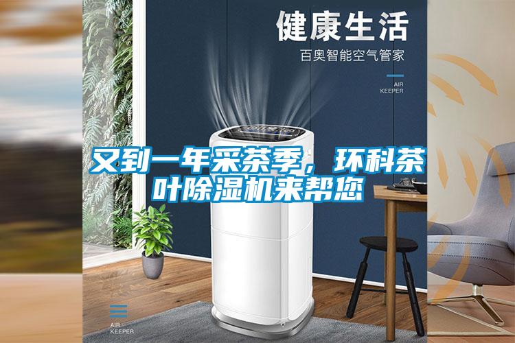 又到一年采茶季，环科茶叶精品一区二区三区水蜜桃来帮您