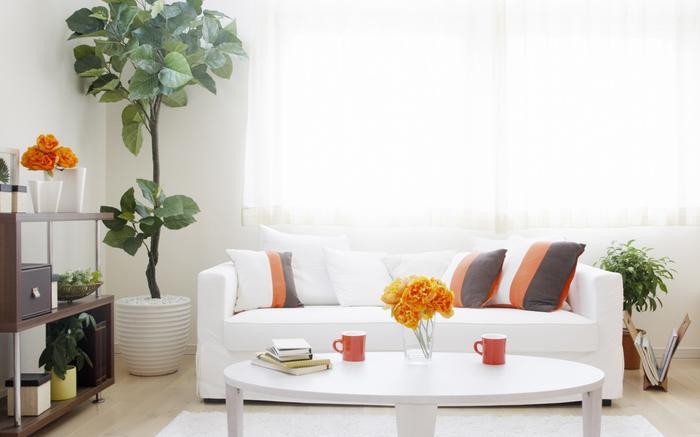 医药常温库、阴凉库、冷库用精品一区二区三区水蜜桃