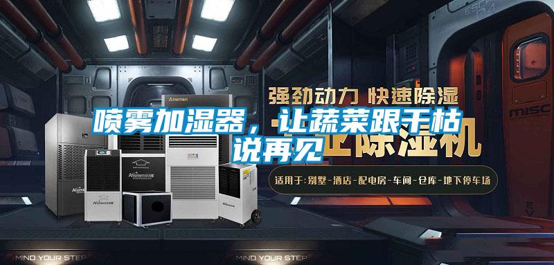 喷雾加湿器，让蔬菜跟干枯说再见