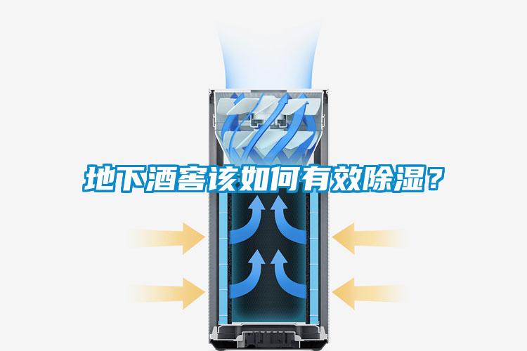 地下酒窖该如何有效除湿？