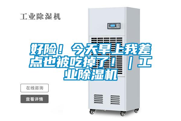 好险！今天早上我差点也被吃掉了！｜工业精品一区二区三区水蜜桃