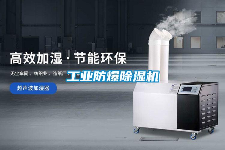 工业防爆精品一区二区三区水蜜桃