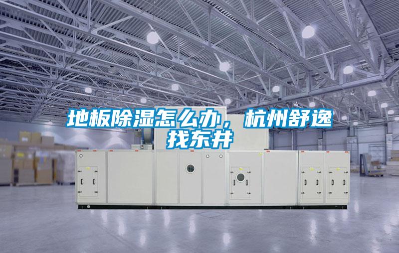 地板除湿怎么办，杭州舒逸找东井