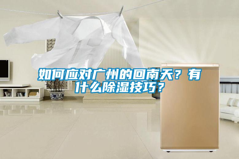 如何应对广州的回南天？有什么除湿技巧？