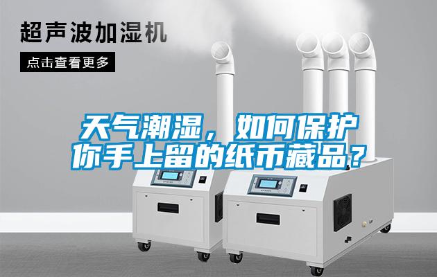 天气潮湿，如何保护你手上留的纸币藏品？