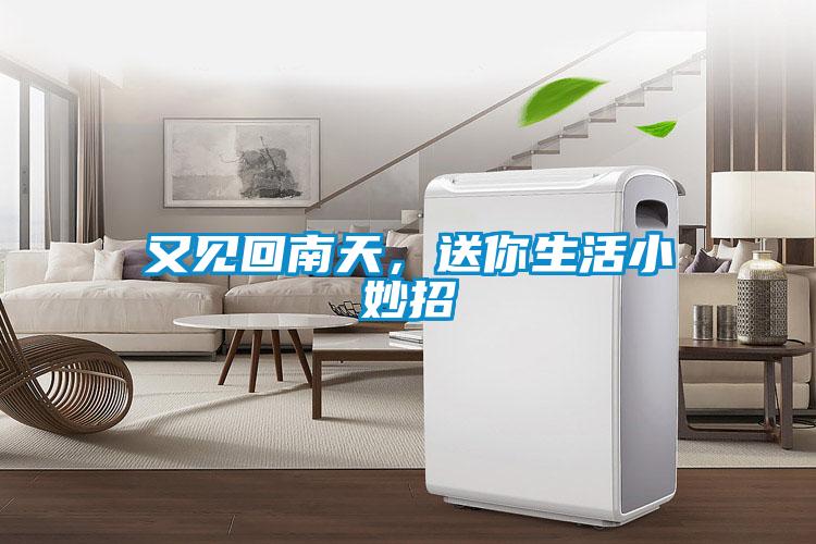 又见回南天，送你生活小妙招