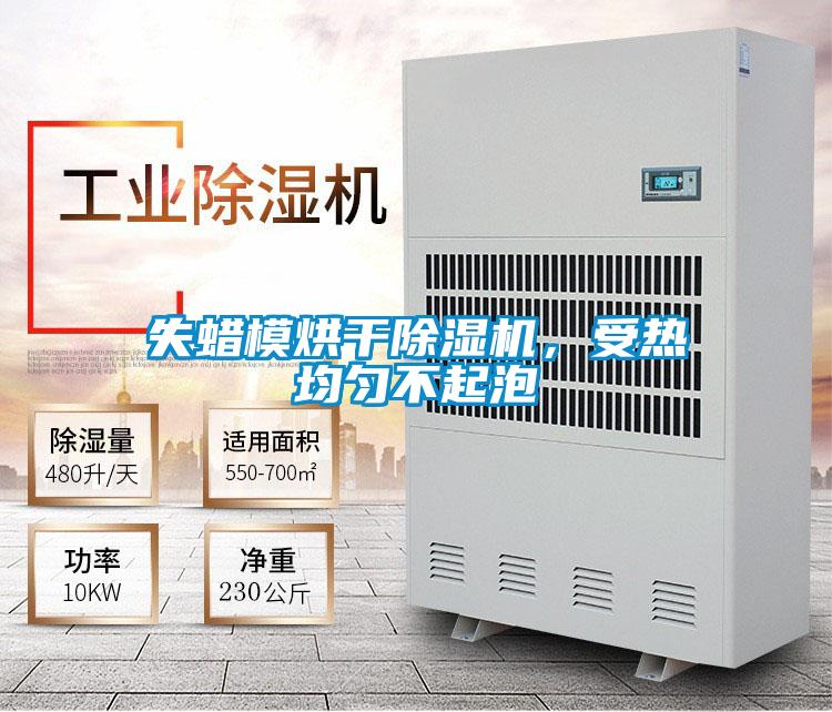 失蜡模烘干精品一区二区三区水蜜桃，受热均匀不起泡