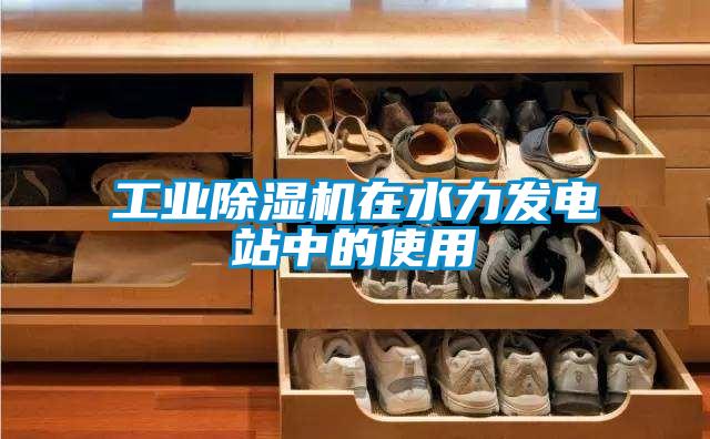 工业精品一区二区三区水蜜桃在水力发电站中的使用