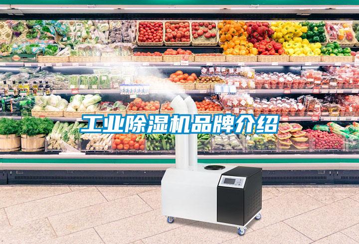 工业精品一区二区三区水蜜桃品牌介绍