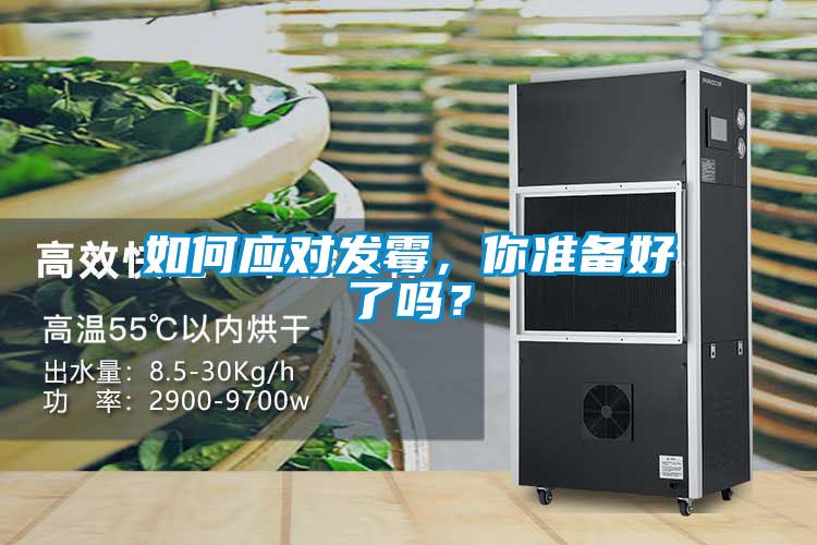 如何应对发霉，你准备好了吗？