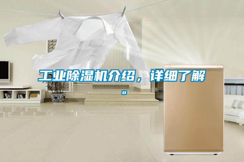 工业精品一区二区三区水蜜桃介绍，详细了解。