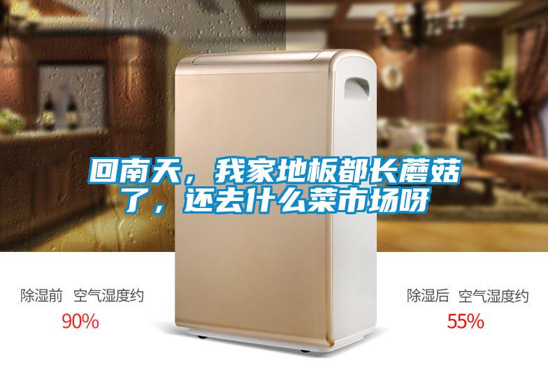 回南天，我家地板都长蘑菇了，还去什么菜市场呀