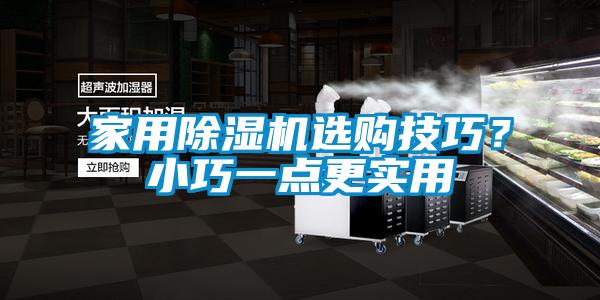 家用精品一区二区三区水蜜桃选购技巧？小巧一点更实用