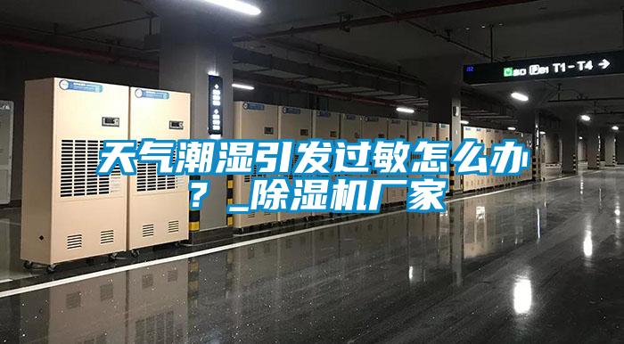 天气潮湿引发过敏怎么办？_精品一区二区三区水蜜桃厂家