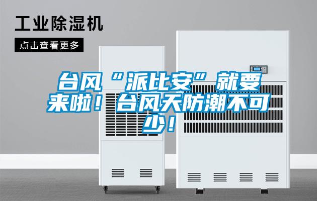 台风“派比安”就要来啦！台风天防潮不可少！